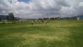 /album/sede-canchas-independiente-suba-via-cota/img-20161101-wa0009-copia-jpg/